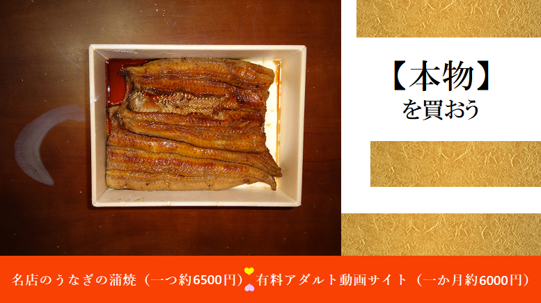 月額アダルトサイトに加入しよう！